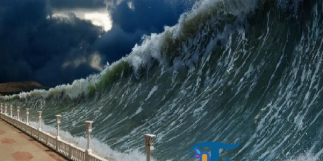 Gempa Dahsyat Guncang Jepang, Tsunami 40 Cm Terjang Misawa hingga Hokkaido