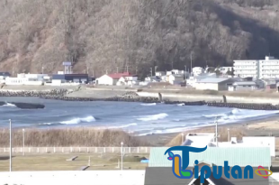 Momen Gelombang Tsunami Terjadi di Jepang Setelah Gempa M 6,7