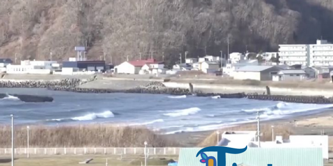 Momen Gelombang Tsunami Terjadi di Jepang Setelah Gempa M 6,7