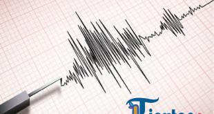Gempa Magnitudo 4,5 Guncang Blitar, Jawa Timur