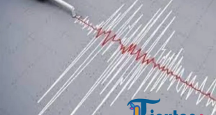 Gempa Magnitudo 5,5 Guncang Maluku Barat Daya Pagi Ini, BMKG Tegaskan Tidak Berpotensi Tsunami