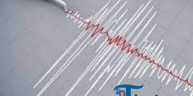 Gempa Magnitudo 5,5 Guncang Maluku Barat Daya Pagi Ini, BMKG Tegaskan Tidak Berpotensi Tsunami