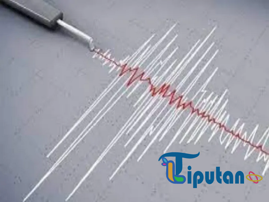 Gempa Magnitudo 5,5 Guncang Maluku Barat Daya Pagi Ini, BMKG Tegaskan Tidak Berpotensi Tsunami