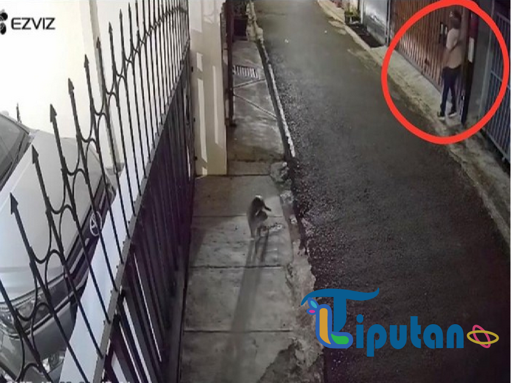 Polda Metro Selidiki Teror Bangkai Ayam dan Molotov di Rumah DJ Donny