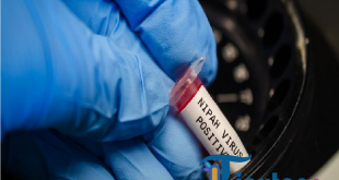 Virus Nipah Muncul di India, Kemenkes Ingatkan Bahaya Gejala dan Jalur Penularan