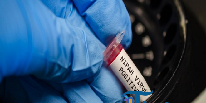 Virus Nipah Muncul di India, Kemenkes Ingatkan Bahaya Gejala dan Jalur Penularan