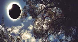 Gerhana Matahari Cincin Api 2026: Lokasi Penyaksian