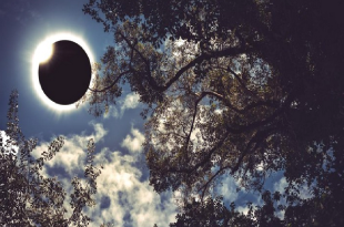 Gerhana Matahari Cincin Api 2026: Lokasi Penyaksian