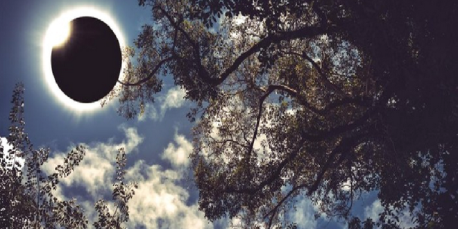 Gerhana Matahari Cincin Api 2026: Lokasi Penyaksian