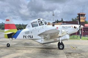 Kronologi Lengkap Kecelakaan Pesawat Pelita Air di Kaltara