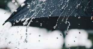 BMKG: Hujan Lebat Guyur Sebagian Wilayah Jakarta Timur Hari Ini