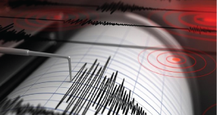 Guncangan Gempa M 7,3 Terjadi di Bitung, Sulawesi Utara, Berpotensi Tsunami
