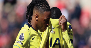 Sunderland Bungkam Tottenham di Debut De Zerbi