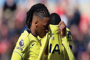 Sunderland Bungkam Tottenham di Debut De Zerbi