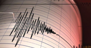 Lombok Utara Diguncang Gempa Magnitudo 3,1, Getarannya Terasa hingga Mataram