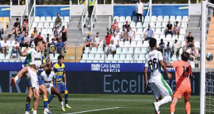 Parma vs Sassuolo: Jay Idzes Kembali Tampil, I Neroverdi Tumbang di Laga Pamungkas