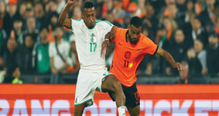 Belanda Takluk 0-1 dari Aljazair: De Oranje Kalah Tipis