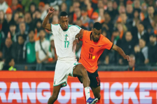 Belanda Takluk 0-1 dari Aljazair: De Oranje Kalah Tipis