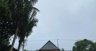 Cuaca Kepri Hari Ini: Hujan Merata Sejak Pagi