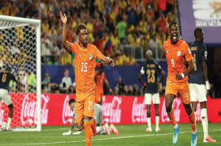 Pantai Gading vs Ekuador: Gol Diallo Antar Les Éléphants Raih Kemenangan